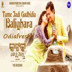 Tame Jadi Gadhidia Balighara